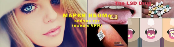 ECSTASY Алзамай
